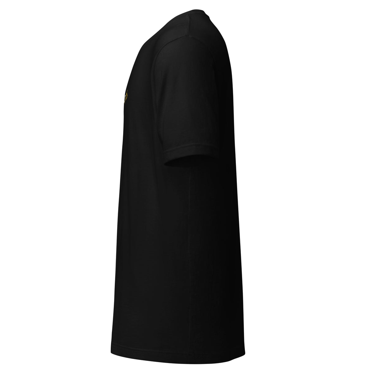<goacto/> Tee, black, left side view, plain sleeve